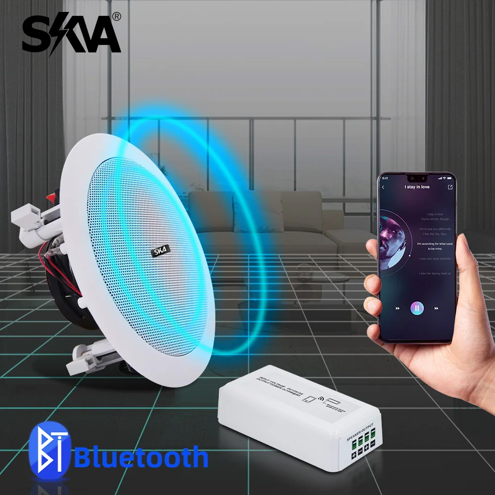 Amplificador Bluetooth Mini am - Portable Amplifier Mini reseña y precio