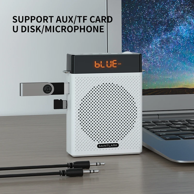 LINIM S2 Altavoz de Audio Port - Portable Amplifier Mini reseña y precio