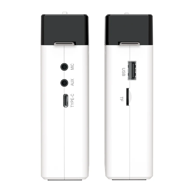 LINIM S2 Altavoz de Audio Port - Portable Amplifier Mini reseña y precio